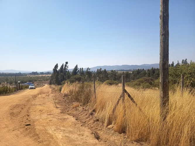 OPORTUNIDAD PARCELA EN PERALILLO 5000 M2