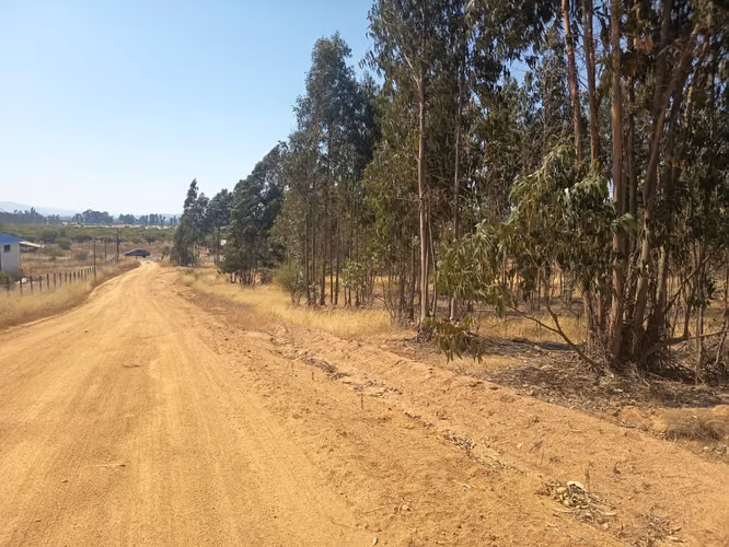 OPORTUNIDAD PARCELA EN PERALILLO 5000 M2