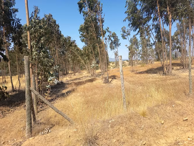 OPORTUNIDAD PARCELA EN PERALILLO 5000 M2