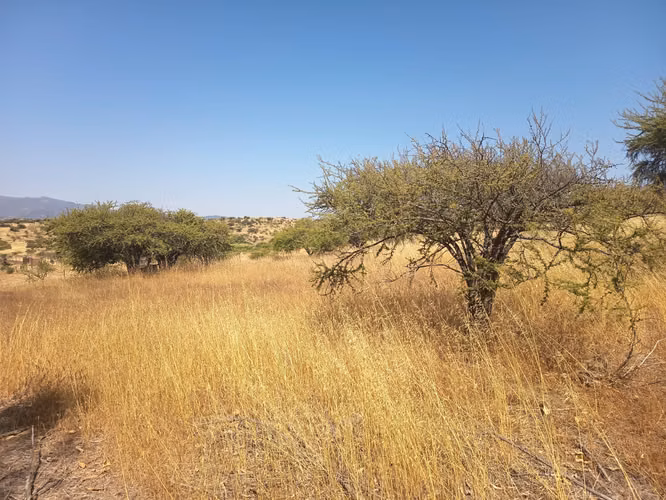 OPORTUNIDAD PARCELA EN PERALILLO 5000 M2