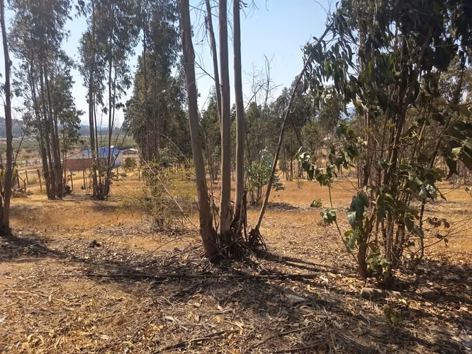 OPORTUNIDAD PARCELA EN PERALILLO 5000 M2