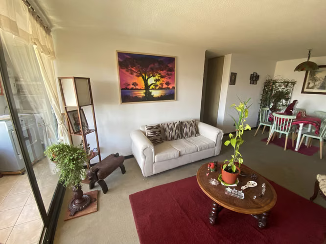 PRECIO REBAJADO - GRAN DEPARTAMENTO VISTA DESPEJADA EN VIÑA - Imagen 5