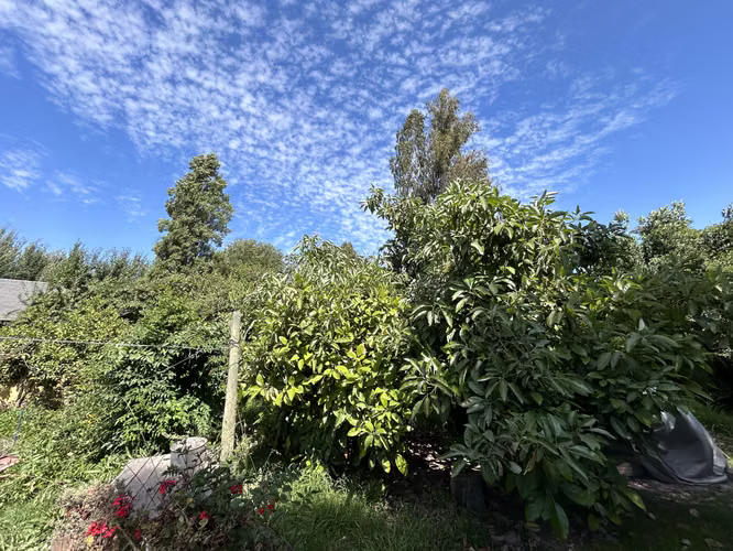 VENTA CASA CON AMPLIO TERRENO EN PAINE