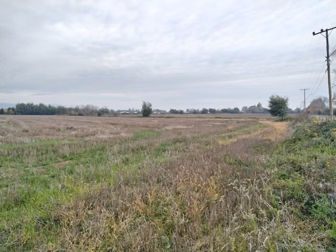 EXCELENTE CAMPO DE 12 HA VERSATIL E IDEAL PARA INVERSION