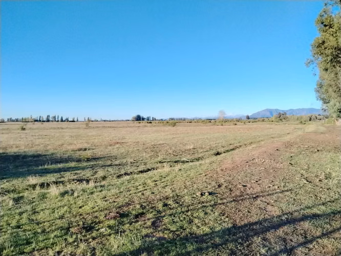 44 HA AMPLIABLES A 101,8 HA IDEAL AVELLANO RIO CLARO VII R