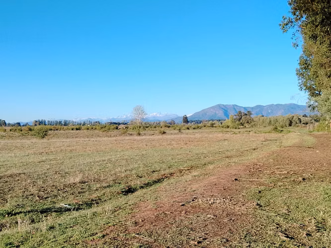 44 HA AMPLIABLES A 101,8 HA IDEAL AVELLANO RIO CLARO VII R