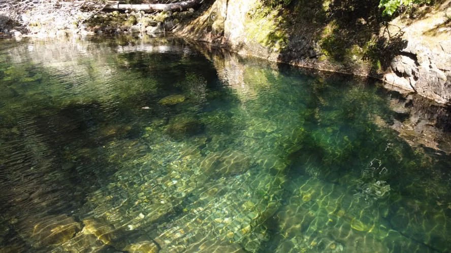 VENTA CAMPO FORESTAL, 2968 HA, QUILACO, BIO BIO, MITIGACION