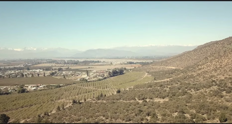 LOTES DE 5000M2-PUNTA DE CORTES- RANCAGUA