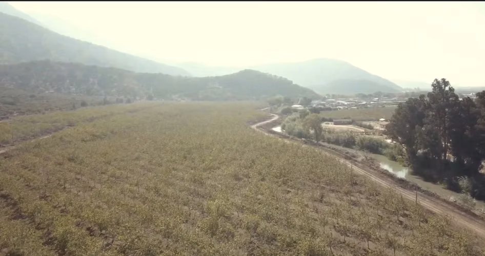 LOTES DE 5000M2-PUNTA DE CORTES - Imagen 5