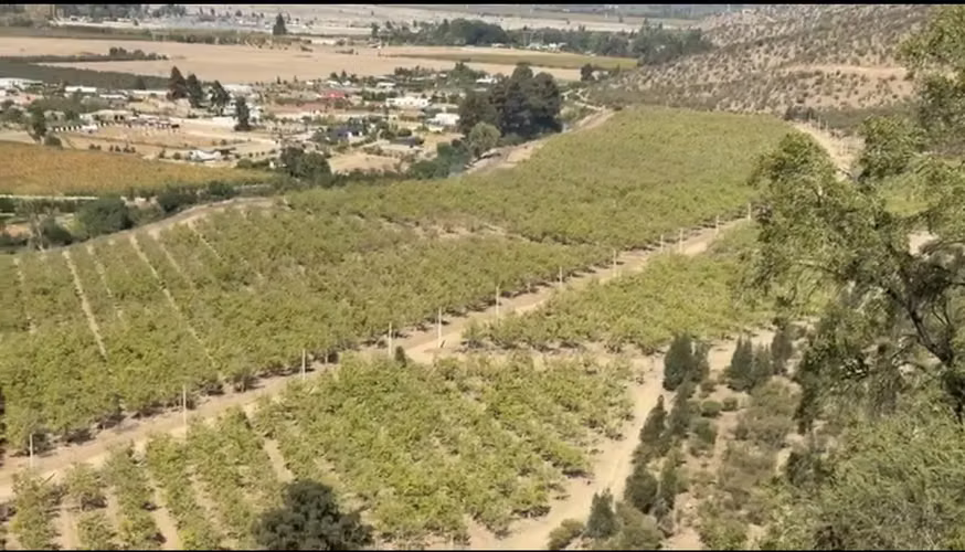 LOTES DE 5000M2-PUNTA DE CORTES- RANCAGUA