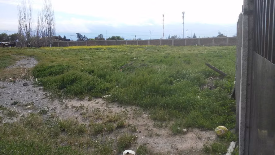 SITIO AGRICOLA, TOTALMENTE COMERCIAL, CENTRICO - Imagen 3