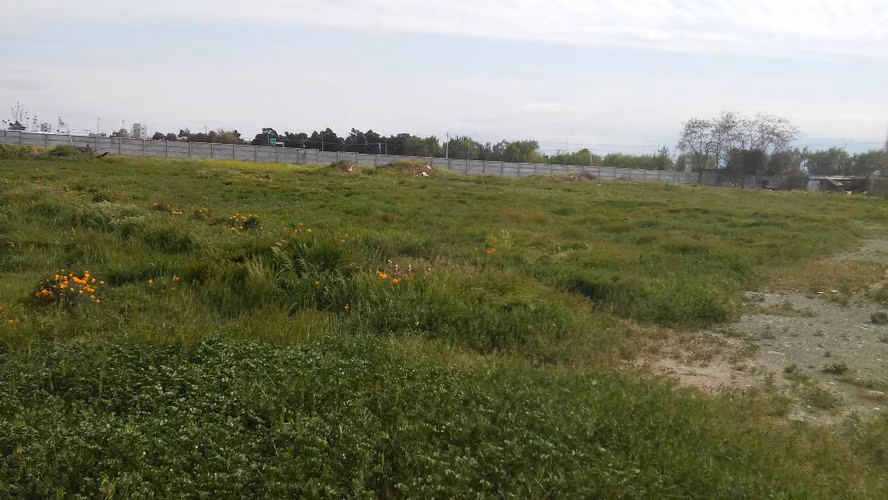 SITIO AGRICOLA,  COMERCIAL, CENTRICO MAS DE 8200 MTS 2