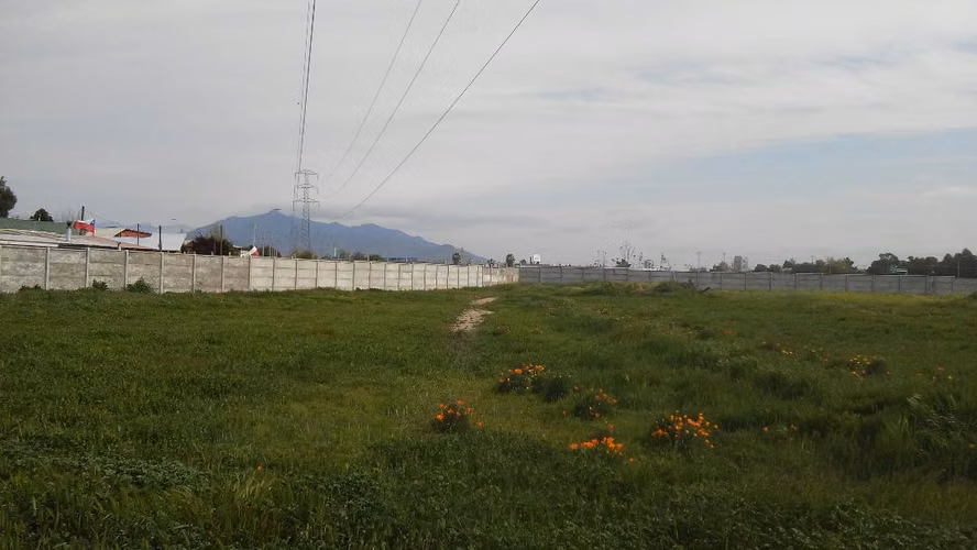 SITIO AGRICOLA, TOTALMENTE COMERCIAL, CENTRICO - Imagen 6