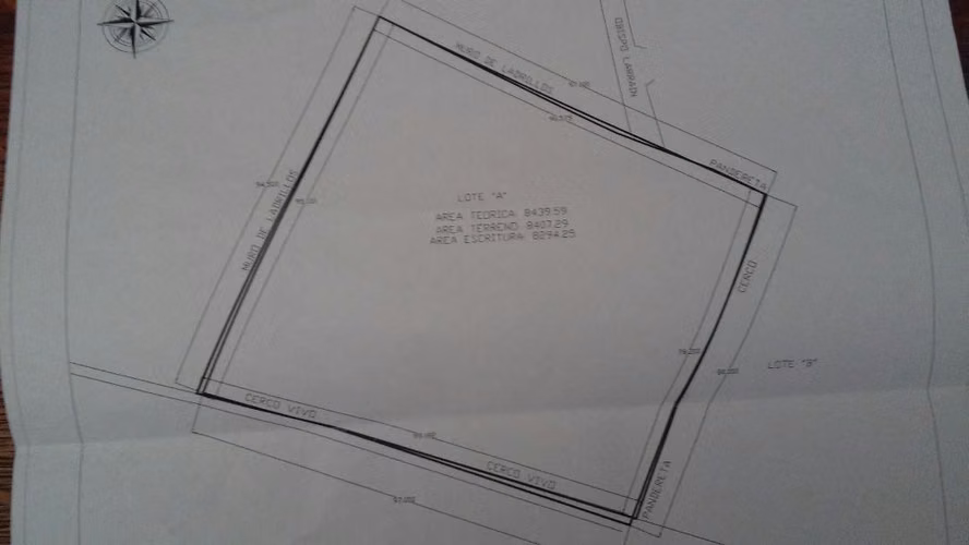 SITIO AGRICOLA, TOTALMENTE COMERCIAL, CENTRICO - Imagen 17