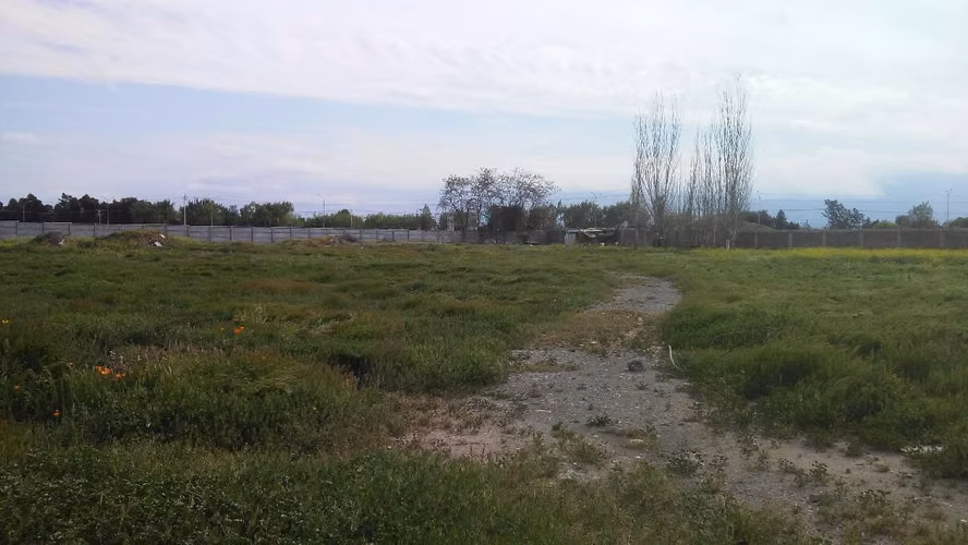 SITIO AGRICOLA, TOTALMENTE COMERCIAL, CENTRICO - Imagen 5