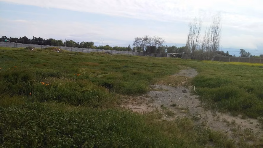 SITIO AGRICOLA, TOTALMENTE COMERCIAL, CENTRICO - Imagen 7
