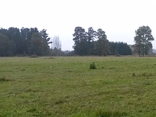 CAMPO 4,7 HA EN VENTA, PURRANQUE - FUTILLAR