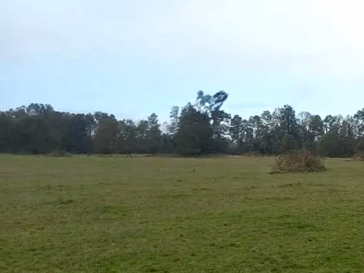 CAMPO 4,7 HA EN VENTA, PURRANQUE - FUTILLAR