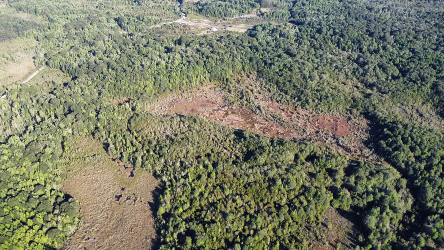 OPORTUNIDAD CAMPO 30HA CON RIO Y BOSQUE NATIVO