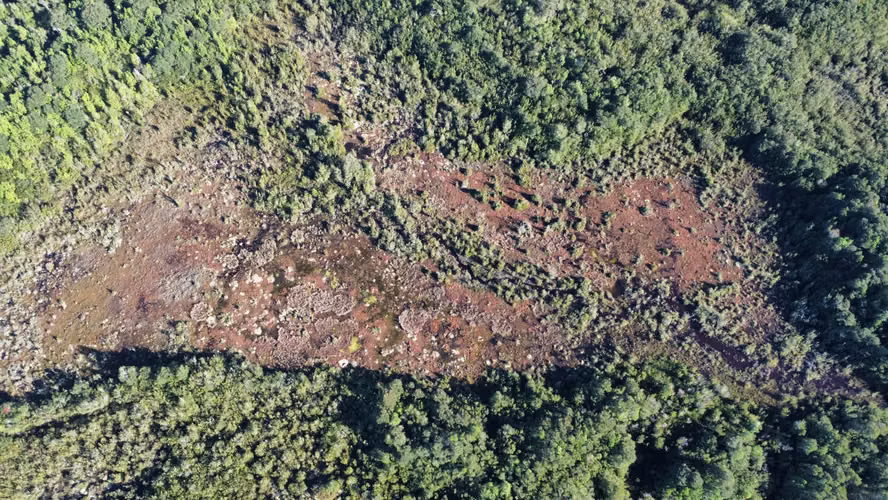 OPORTUNIDAD CAMPO 30HA CON RIO Y BOSQUE NATIVO