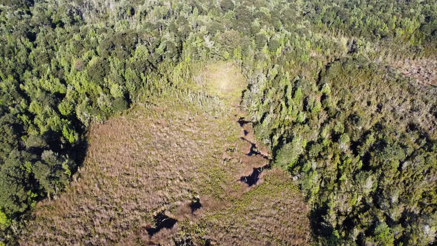 OPORTUNIDAD CAMPO 30HA CON RIO Y BOSQUE NATIVO