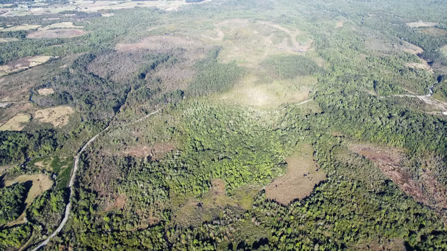 OPORTUNIDAD CAMPO 30HA CON RIO Y BOSQUE NATIVO