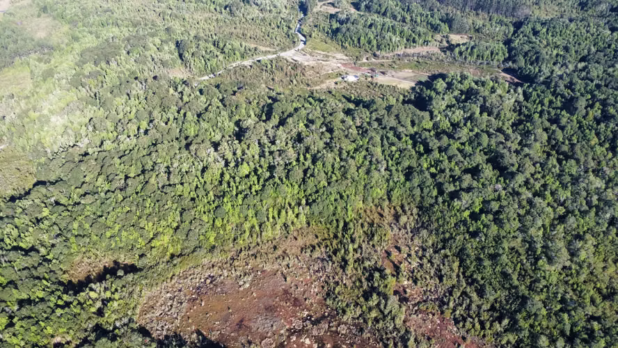 OPORTUNIDAD CAMPO 30HA CON RIO Y BOSQUE NATIVO