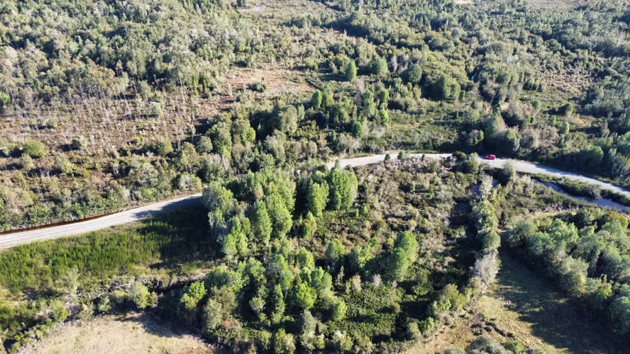 OPORTUNIDAD CAMPO 30HA CON RIO Y BOSQUE NATIVO