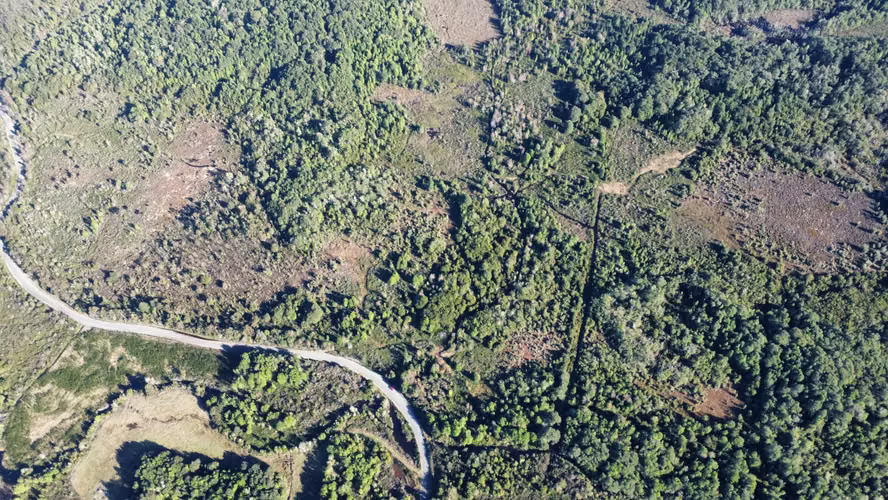 OPORTUNIDAD CAMPO 30HA CON RIO Y BOSQUE NATIVO