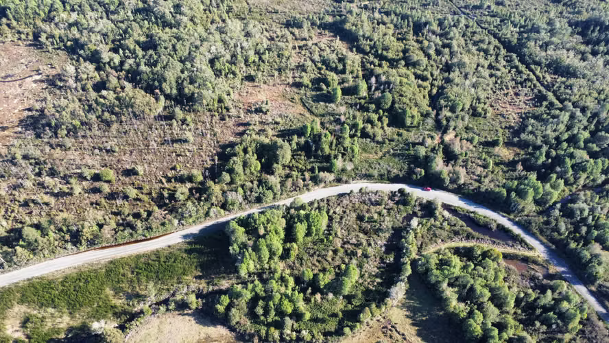 OPORTUNIDAD CAMPO 30HA CON RIO Y BOSQUE NATIVO