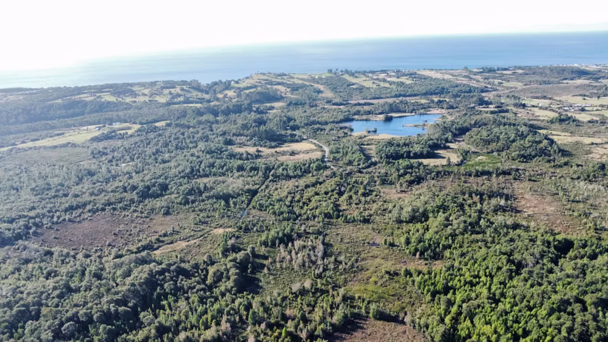 OPORTUNIDAD CAMPO 30HA CON RIO Y BOSQUE NATIVO
