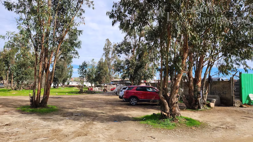 Terreno sector Feria Agricola Los Pinos, Quilpué (180784)