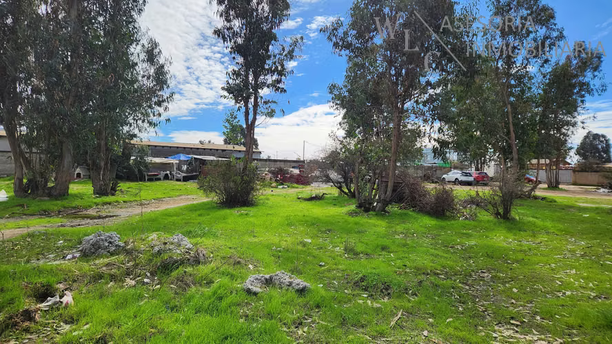 Terreno sector Feria Agricola Los Pinos, Quilpué (180784)