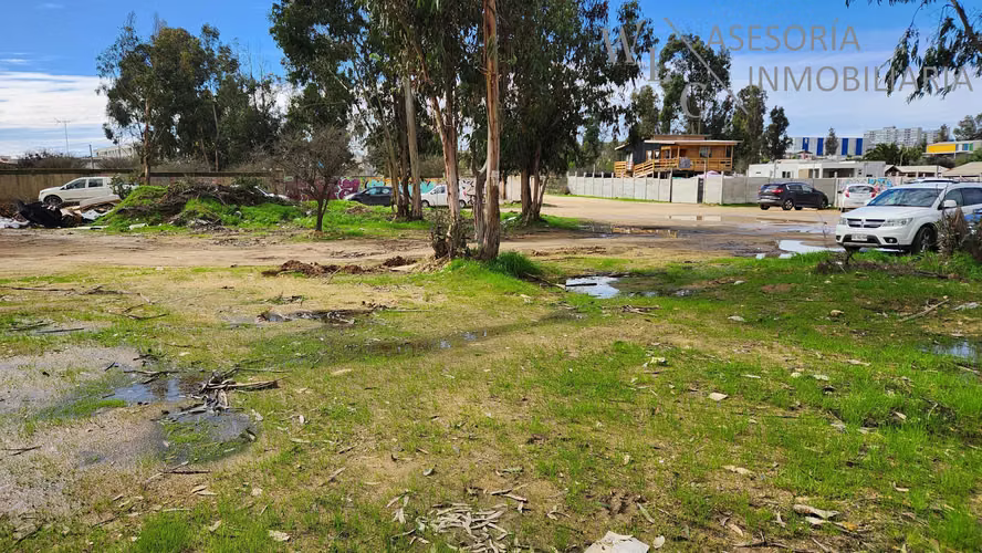Terreno sector Feria Agricola Los Pinos, Quilpué (180784)