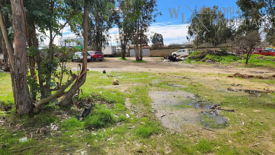 Terreno sector Feria Agricola Los Pinos, Quilpué (180784)