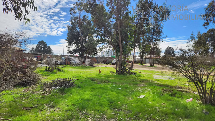 Terreno sector Feria Agricola Los Pinos, Quilpué (180784)