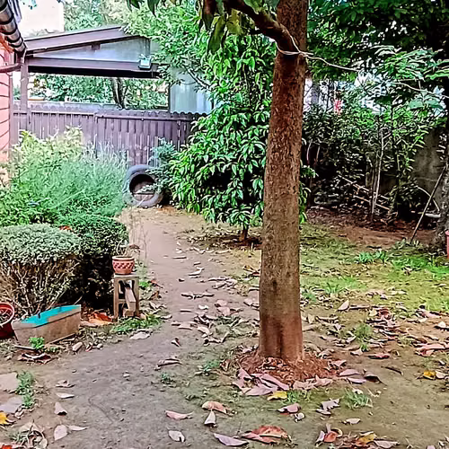 Se vende propiedad con cabaña y amplio terreno en sector Parque Krahmer - Imagen 5