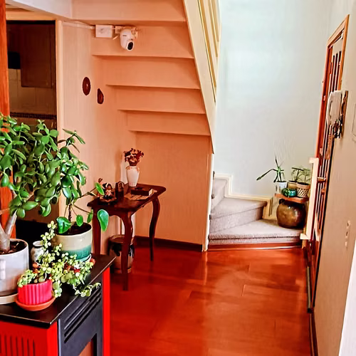 Se vende propiedad con cabaña y amplio terreno en sector Parque Krahmer - Imagen 4