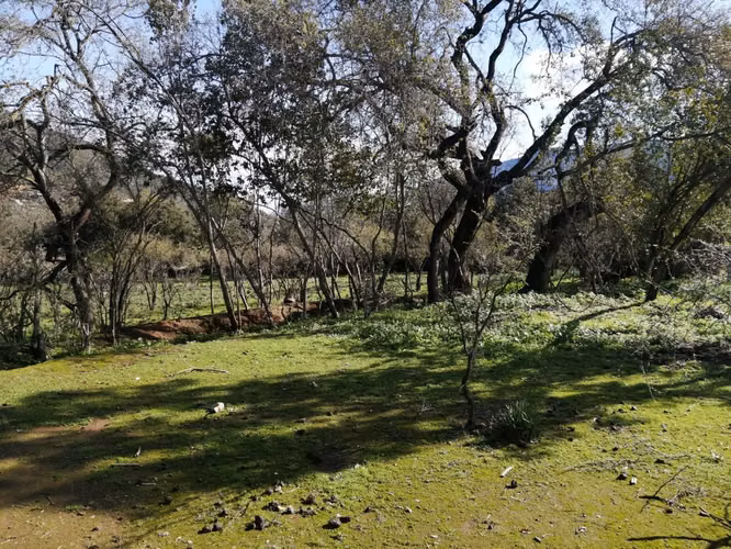 Venta Terreno Olmué - Imagen 6