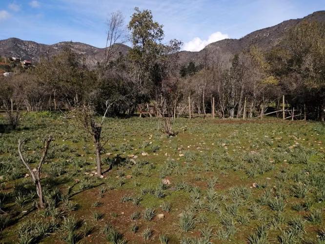 Venta Terreno Olmué - Imagen 4