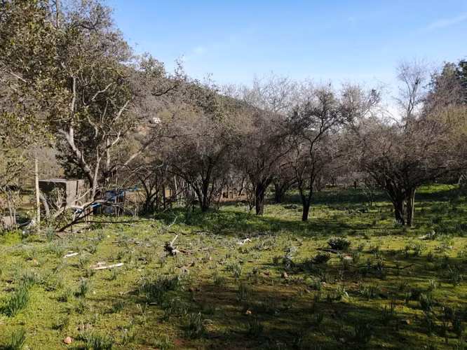 Venta Terreno Olmué - Imagen 2