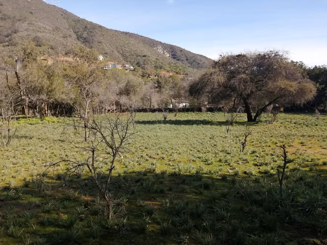 Venta Terreno Olmué - Imagen 14