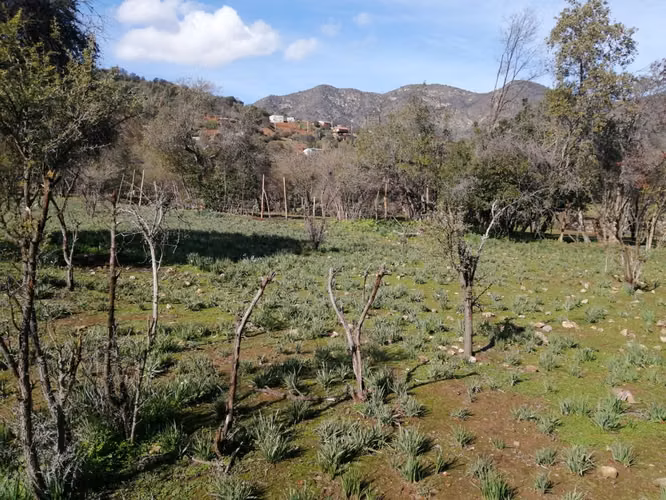 Venta Terreno Olmué - Imagen 3