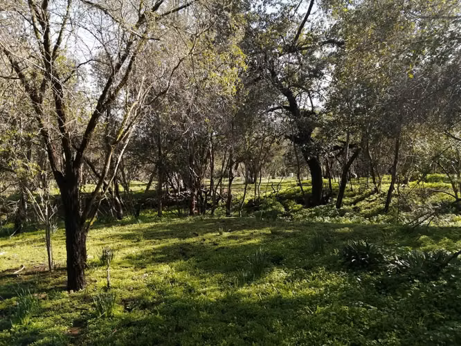 Venta Terreno Olmué - Imagen 18