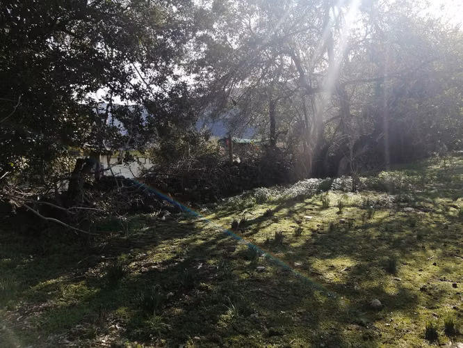 Venta Terreno Olmué - Imagen 16