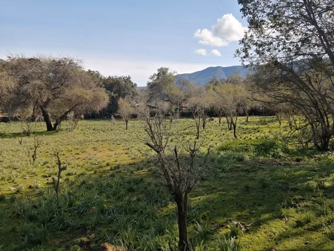 Venta Terreno Olmué - Imagen 5