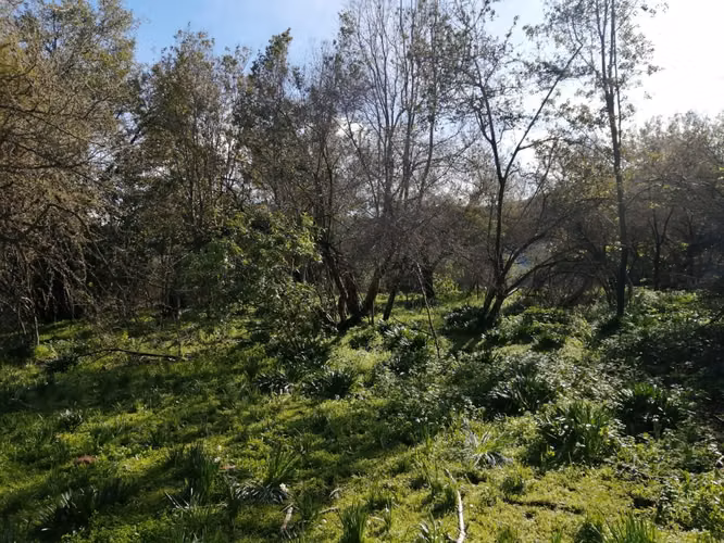 Venta Terreno Olmué - Imagen 13