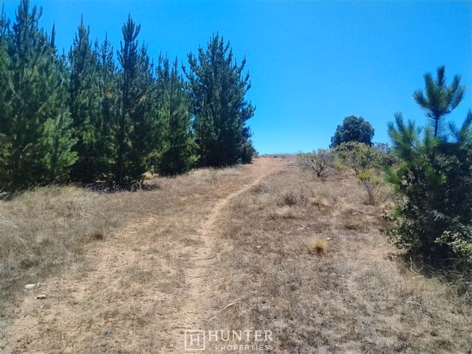 Oportunidad y Proyección!! Terreno Puertecillo, VI Región - Imagen 4