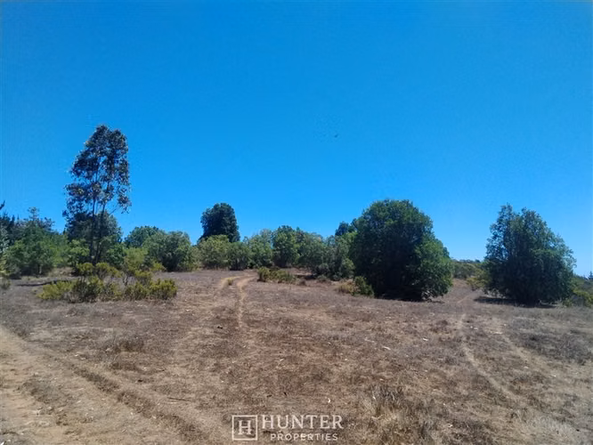 Oportunidad y Proyección!! Terreno Puertecillo, VI Región - Imagen 11