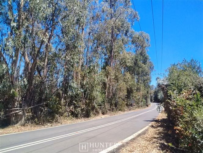 Oportunidad y Proyección!! Terreno Puertecillo, VI Región - Imagen 13